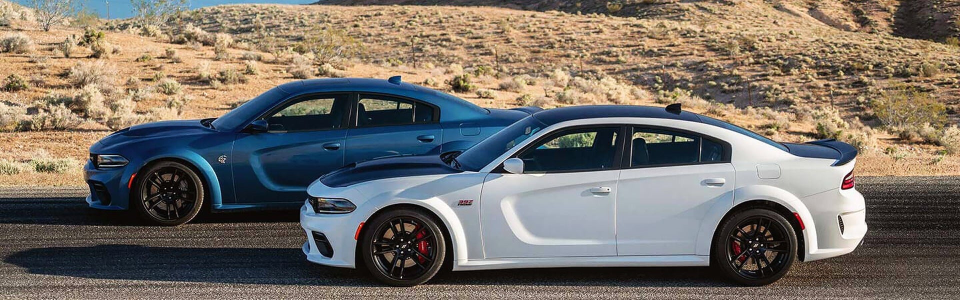 Lander Dodge